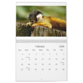 Affe-Kalender 2013 Kalender (Feb 2026)