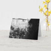 Affe Karte (Gelbe Blume)