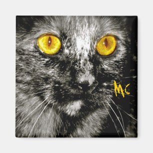Affe-Katzen-Magnet Magnet