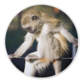 Affe Keramikknauf (Vorderseite)