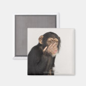 Affe keucht sich das Gesicht Magnet (Vorderseite/Rückseite)