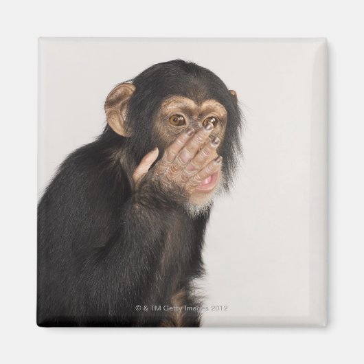 Affe keucht sich das Gesicht Magnet (Vorne)