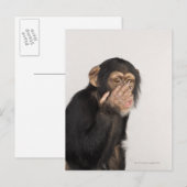 Affe keucht sich das Gesicht Postkarte (Vorne/Hinten)