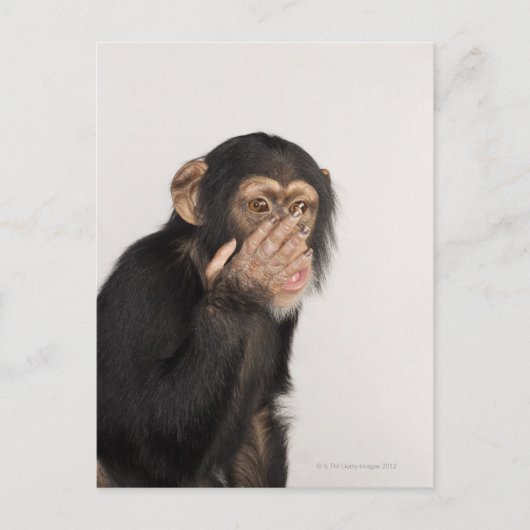 Affe keucht sich das Gesicht Postkarte (Vorderseite)
