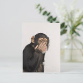 Affe keucht sich das Gesicht Postkarte (Stehend Vorderseite)