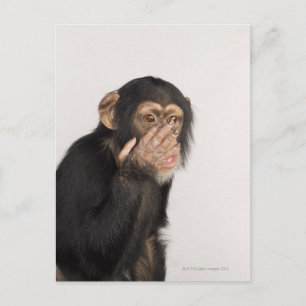 Affe keucht sich das Gesicht Postkarte