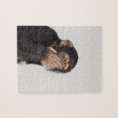 Affe keucht sich das Gesicht Puzzle (Horizontal)