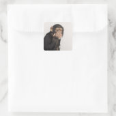 Affe keucht sich das Gesicht Quadratischer Aufkleber (Tasche)