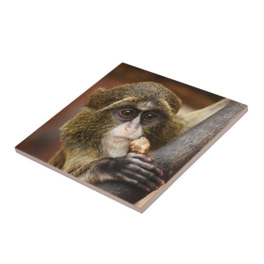 Affe-kletterndes Baum-Foto Fliese (Seite)