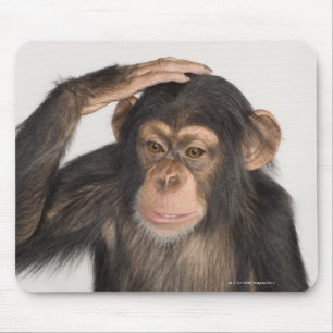 Affe kratzt sich am Kopf Mousepad