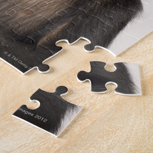 Affe kratzt sich am Kopf Puzzle (Seite)