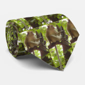 Affe-Krawatte Krawatte (Gerollt)