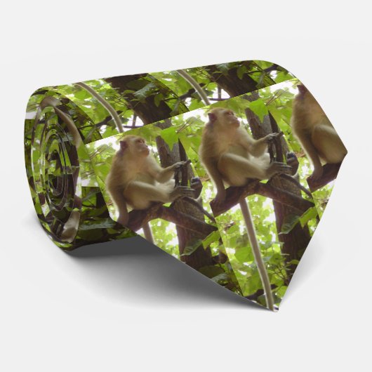 Affe-Krawatte Krawatte (Gerollt)