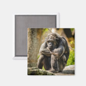 Affe Kühlschrankmagnet (Vorderseite/Rückseite)