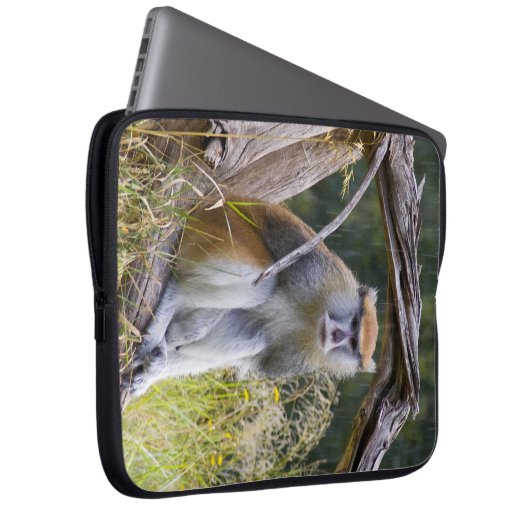 Affe Laptopschutzhülle (Vorne Rechts)