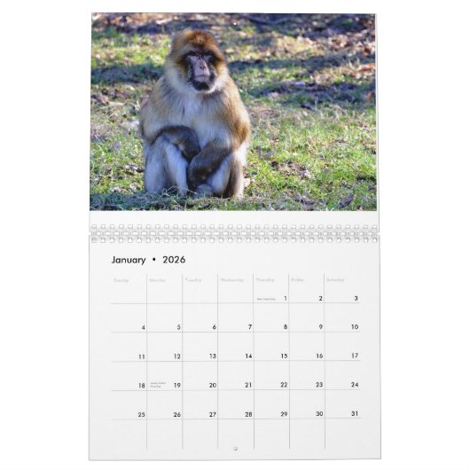 Affe-Liebe-Kalender 2018 Kalender (Jan 2026)