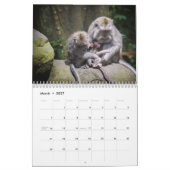 Affe-Liebe-Kalender 2018 Kalender (Mär 2027)