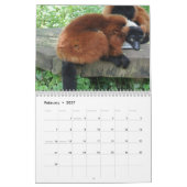 Affe-Liebe-Kalender 2018 Kalender (Feb 2027)