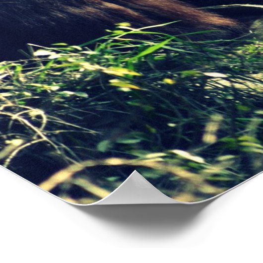 Affe Liebe Poster (Ecke)