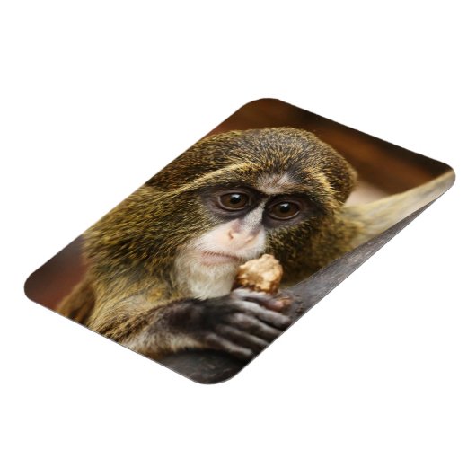 Affe Magnet (Linke Seite)