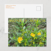 Affe März Postkarte (Vorne/Hinten)