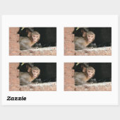 Affe mit großen Augen, rechteckig Rechteckiger Aufkleber (Blatt)