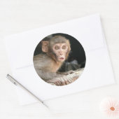 Affe mit großen Augen rund Aufkleber (Umschlag)