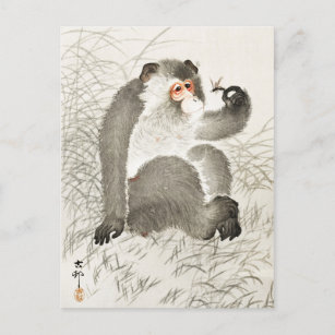 Affe mit Insektenmalerei von Ohara Koson Postkarte