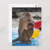 Affe Mutter & Baby Postkarte (Vorne/Hinten)