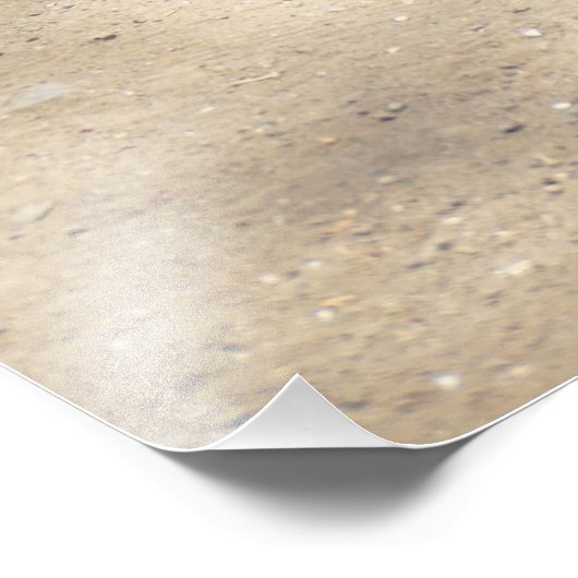 Affe - Mutterfrühstück Fotodruck (Ecke)