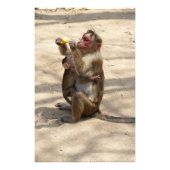 Affe - Mutterfrühstück Fotodruck (Vorne)