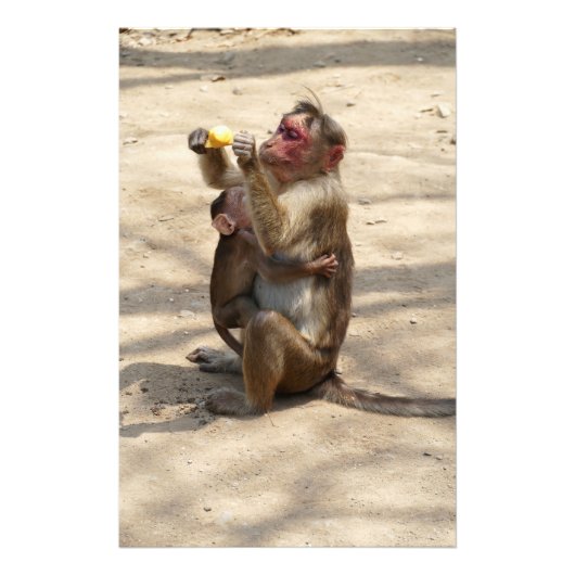 Affe - Mutterfrühstück Fotodruck (Vorne)