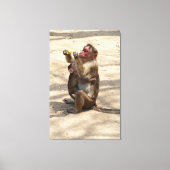 Affe - Mutterfrühstück Leinwanddruck (Vorderseite)