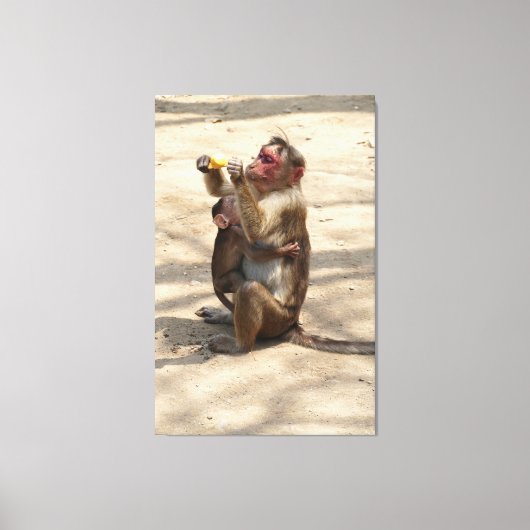Affe - Mutterfrühstück Leinwanddruck (Vorderseite)