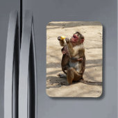 Affe - Mutterfrühstück Magnet