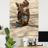 Affe - Mutterfrühstück Poster (Heimbüro)