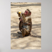 Affe - Mutterfrühstück Poster (Vorne)