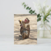 Affe - Mutterfrühstück Postkarte (Stehend Vorderseite)