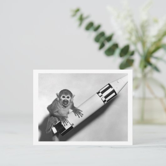 Affe - NASA - 50er Postkarte (Stehend Vorderseite)