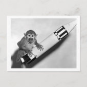 Affe - NASA - 50er Postkarte (Vorderseite)