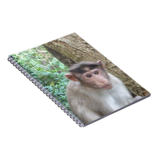 Affe Notizblock (Rechte Seite)