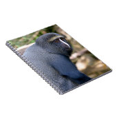 Affe Notizblock (Rechte Seite)