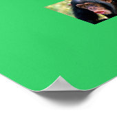 Affe Poster (Ecke)