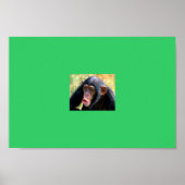 Affe Poster (Vorne)
