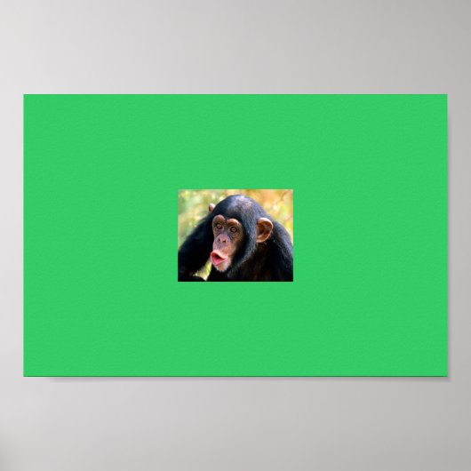 Affe Poster (Vorne)