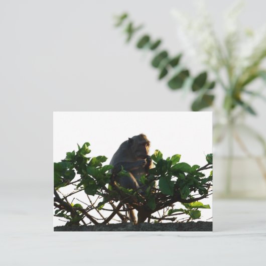 Affe Postkarte (Stehend Vorderseite)