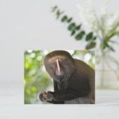 Affe Postkarte (Stehend Vorderseite)