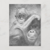 Affe Postkarte (Vorderseite)