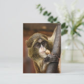 Affe Postkarte (Stehend Vorderseite)