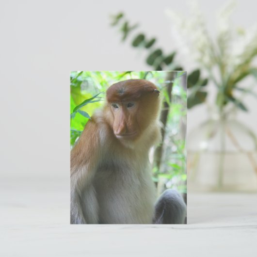 Affe Postkarte (Stehend Vorderseite)